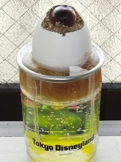 卵のプラント（ディズニーランド）
