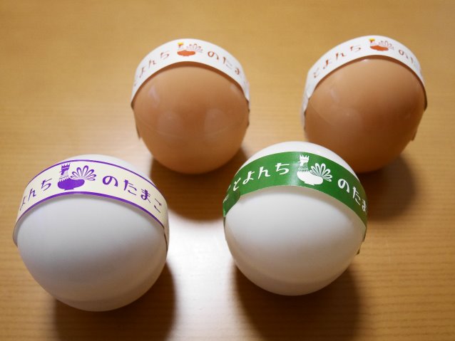 プレーン、チョコ、抹茶、レアチーズプリン（とよんちのたまご）