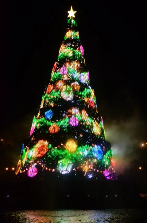 クリスマスツリー（カラー・オブ・クリスマス～ナイトタイム・ウィッシュ～）