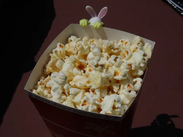 ポップコーン バーベキュー味 上面（ディズニーランド）