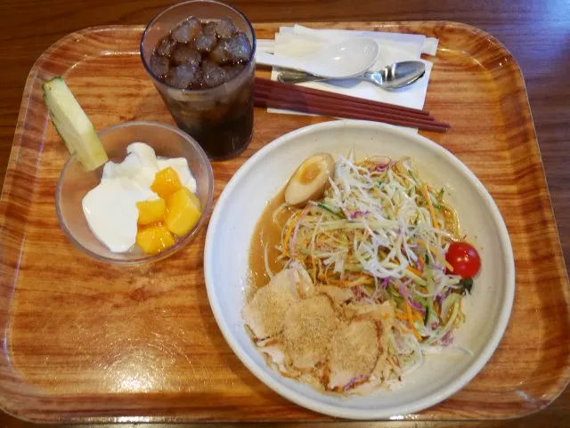 ボイジャーセット（チャイナボイジャー）