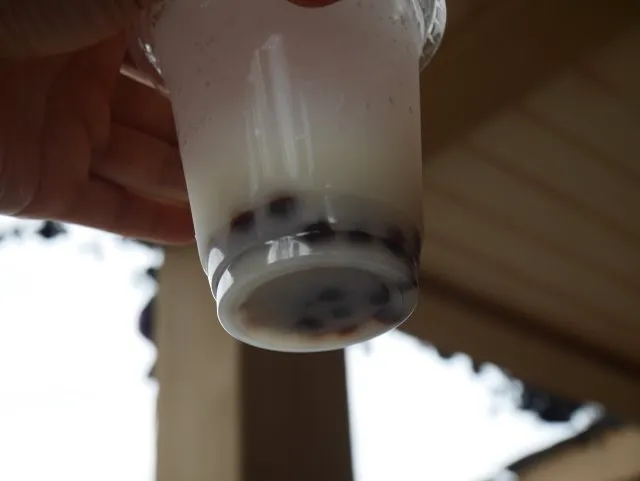 スパークリングブラックタピオカドリンク（サワーホワイト＆シトラス） 底のタピオカ（ハドソンリバー・ハーベスト）