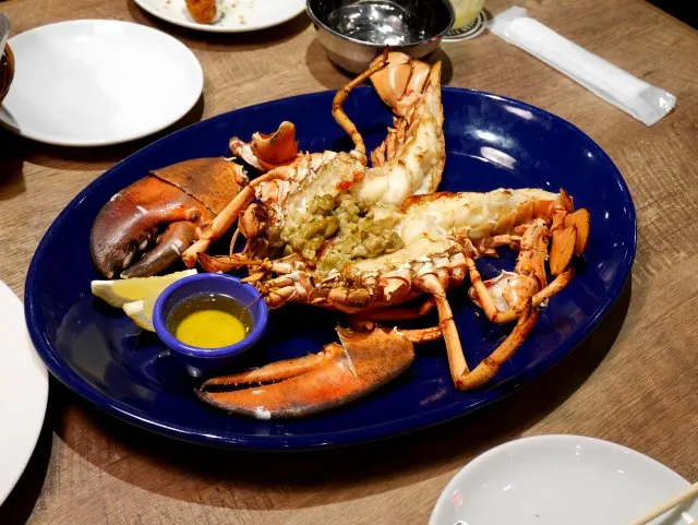 ライブロブスター ラージ（RED LOBSTER）