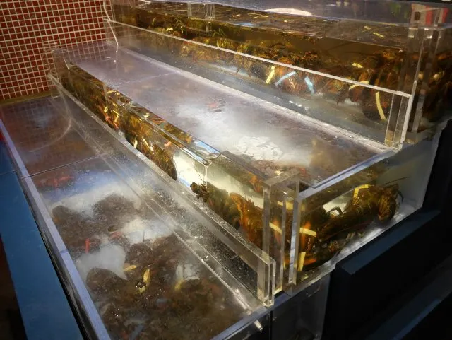 生け簀（RED LOBSTER）