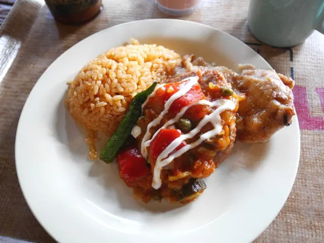 ハンバーグ ベジタブルソース、スパイシーチキン、メキシカンライス添え（ユカタン・ベースキャンプ・グリル）