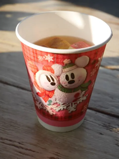 アップル＆シナモンのホットドリンク（トロピック・アルズ）