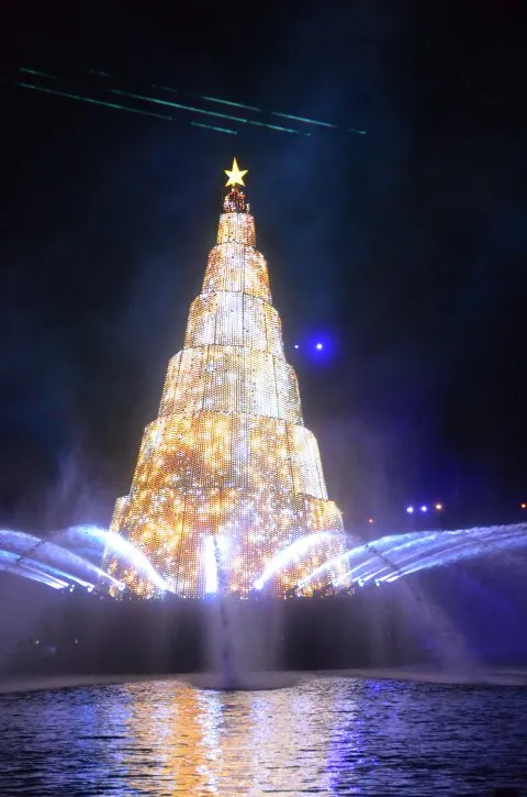 きらめくクリスマスツリー（カラー・オブ・クリスマス）