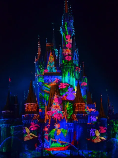 草花(Celebrate! Tokyo Disneyland)