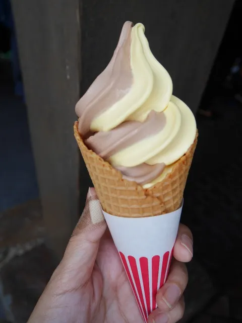 ソフトクリーム（パンプキン・チョコレート・ミックス）（トルバドールタバン）