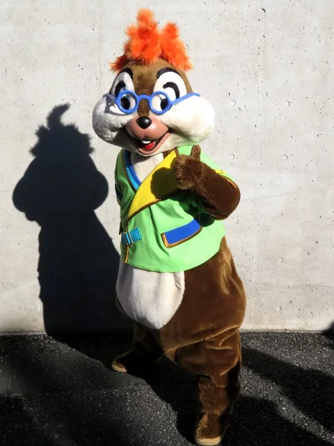 チップ（ポートディスカバリー）