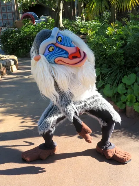 ラフィキ（ロストリバーデルタ）