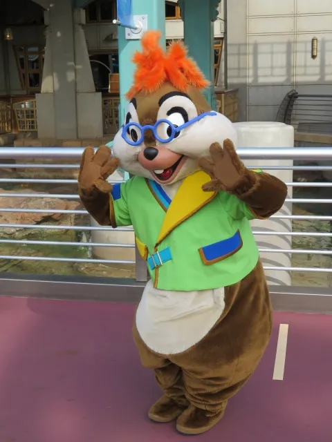 チップ（ポートディスカバリー）