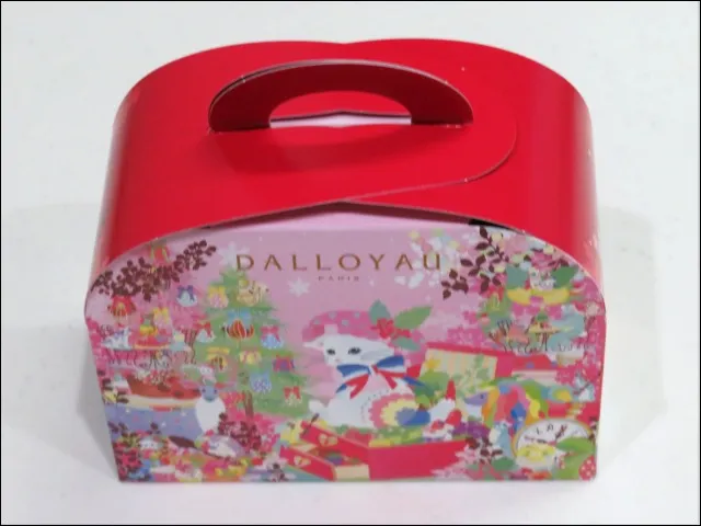 ノエルニャカロン詰め合わせ 箱(DALLOYAU)