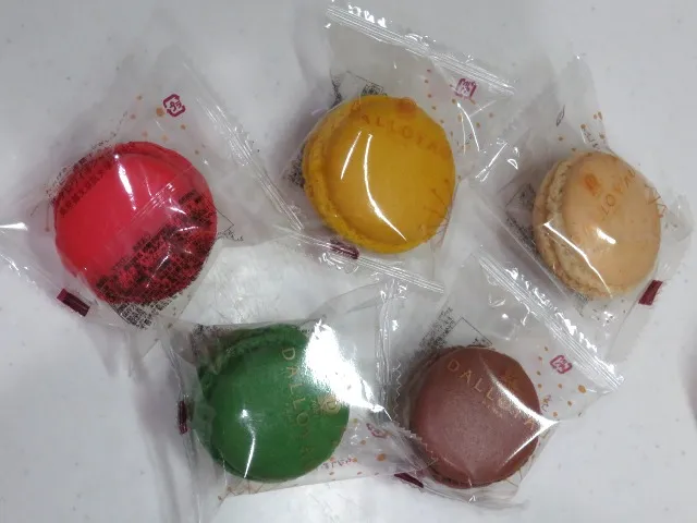 ノエルニャカロン詰め合わせ 個装(DALLOYAU)