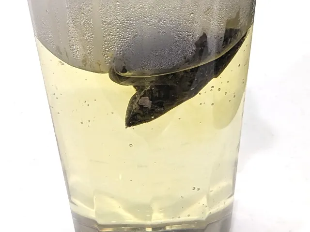 白桃烏龍茶 極品 水色（ルピシア）