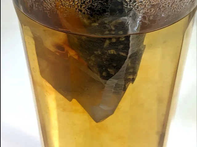 月に咲く 水色（ルピシア）