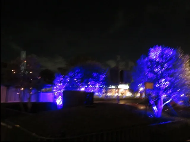 青く光る植栽（ディズニー・ハロウィーン 2023）
