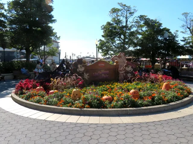 ミッキーとミニーのいる花壇（ディズニー・ハロウィーン 2023）