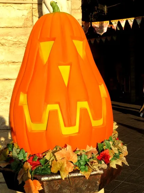 面長カボチャ（ディズニー・ハロウィーン 2023）