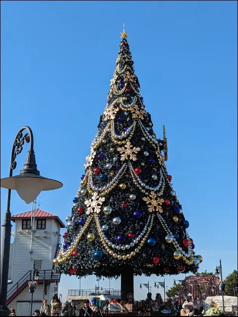 ディズニーシー昼のクリスマスツリー（ディズニー・クリスマス 2023）