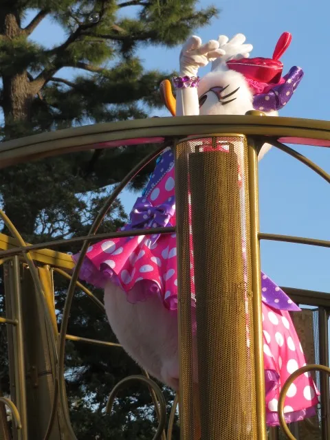 デイジーダック（ミニー＠ファンダーランド）