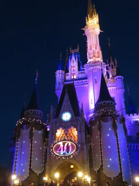 シンデレラ城（東京ディズニーリゾート40周年“ドリームゴーラウンド”）