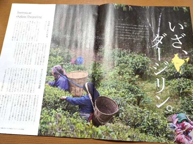 おたより。誌6月号「いざ、ダージリン。」(ルピシア)