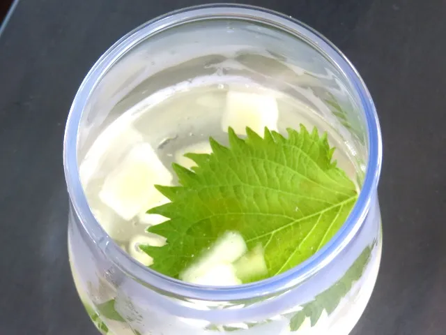 スペシャルカクテル（SAKE＆ピーチ） 上面（レストラン櫻 テラス席）