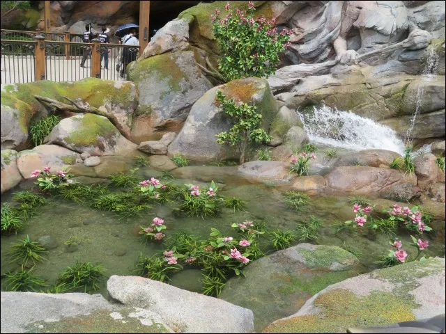 水辺の水草(ファンタジースプリングス)