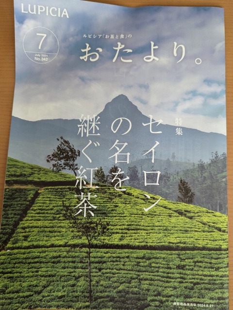 おたより。7月号表紙