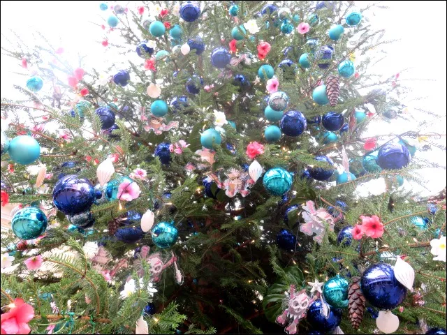 クリスマスツリー アップ(イクスピアリ)