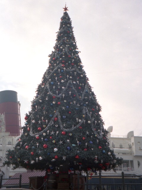 クリスマスツリー（ハーバーサイド・クリスマス）