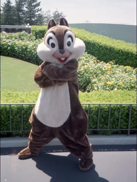 チップ(エントランス)