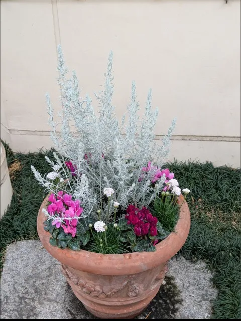 4Fの鉢植え(イクスピアリ)