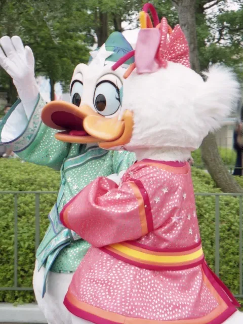 ドナルドとデイジー（ディズニー・スターフェスティバル）