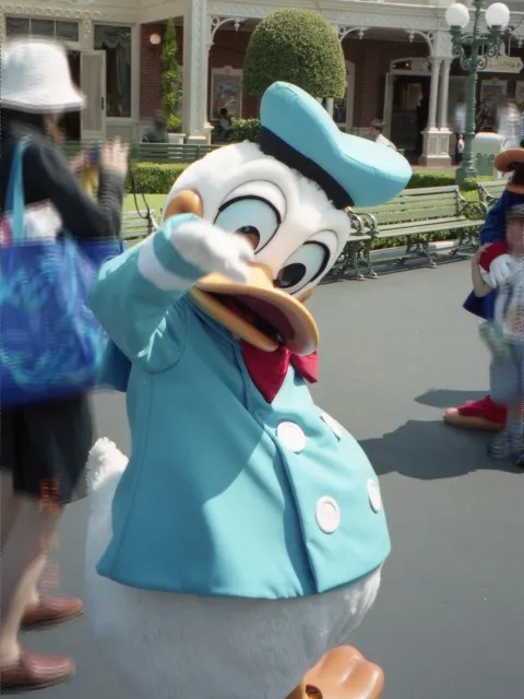 ドナルドダック(エントランス)