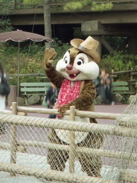 デール（ウエスタンランド）