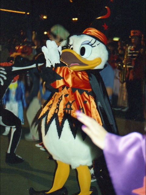 デイジーダック（ディズニー・ハロウィーン 2003）