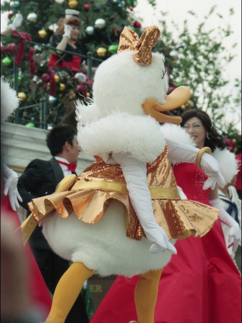 デイジーダック 後ろ姿（クリスマス・ホリデー・イン・ニューヨーク）