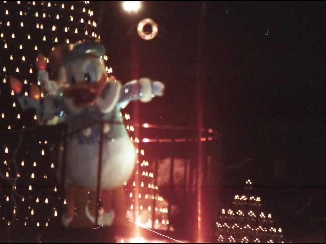 ドナルドダック（キャンドルライト・リフレクションズ）