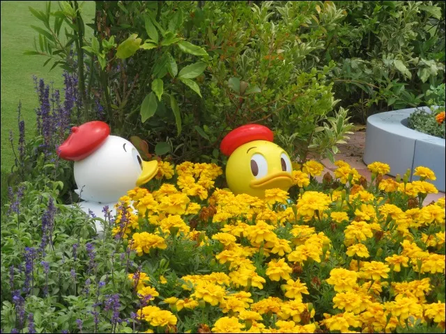 花畑ダック(ディズニー・パルパルーザ“ドナルドのクワッキー・ダック!ダック!ダックシティ!”)