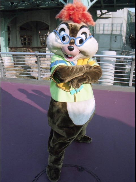 チップ（ポートディスカバリー）