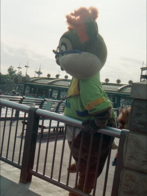 チップ（ポートディスカバリー）