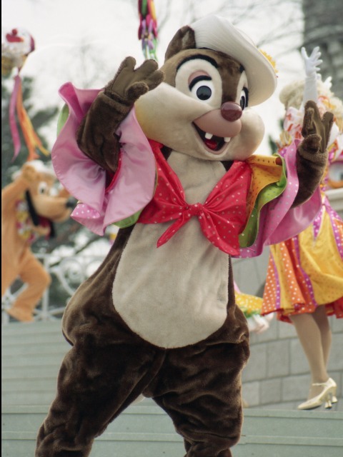 デール（リメンバー・ザ・ドリーム）