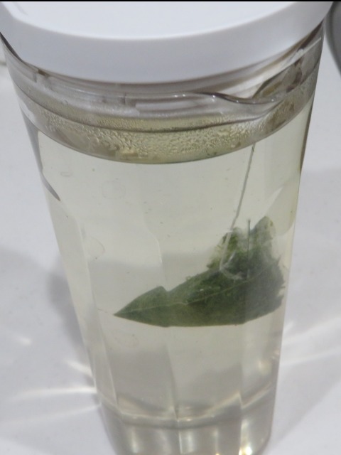 日本新茶いろは箱 淹れ中（ルピシア）