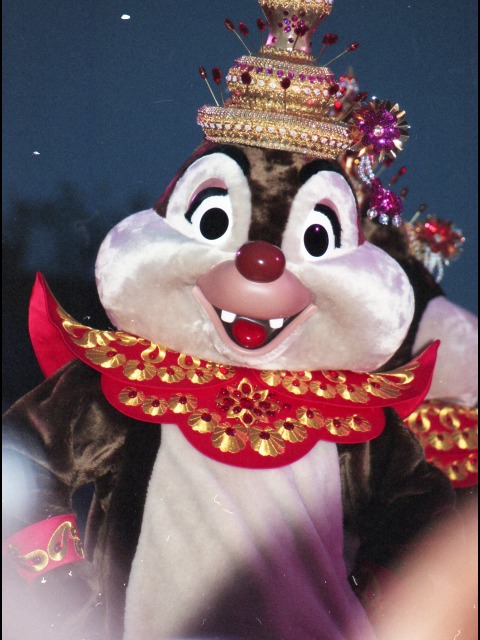 デール（ディズニー・リズム・オブ・ワールド）