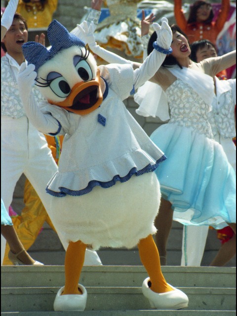 デイジーダック（リメンバー・ザ・ドリーム）