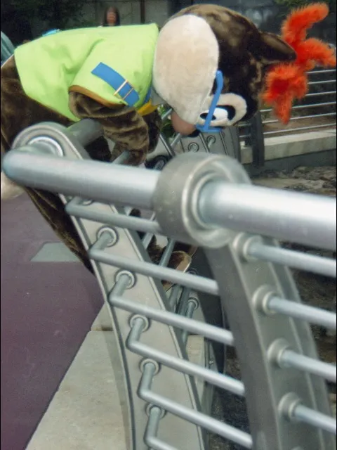 チップ（ポートディスカバリー）