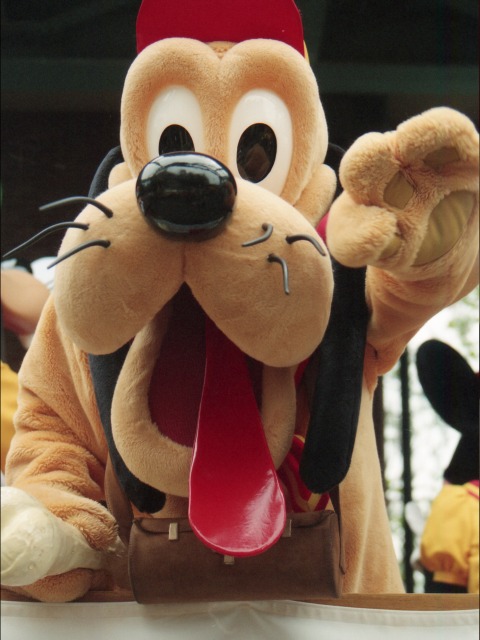 プルート（ディズニーキッズ・サマーアドベンチャー）