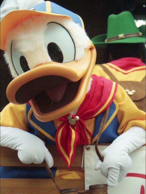 ドナルドダック（ディズニーキッズ・サマーアドベンチャー）